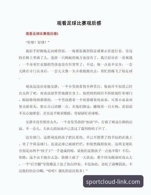 云体育平台新手必看：从下载到观赛的完整使用心得
